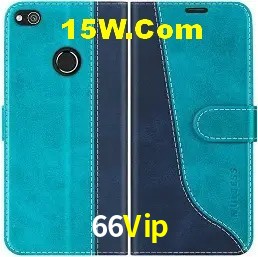 Casino Ao Vivo 66Vip